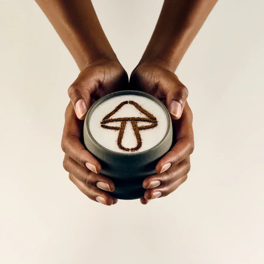 Guía Completa de Hongos Adaptógenos: Todo lo que Necesitas Saber para Empezar