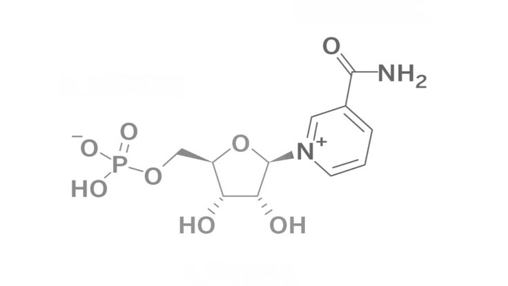 NMN (Nicotinamida Mononucleótido)