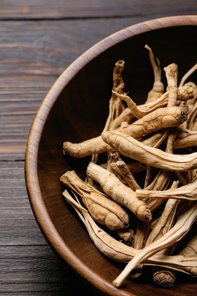 raiz de ashwagandha seca planta adaptogena ayurvedica