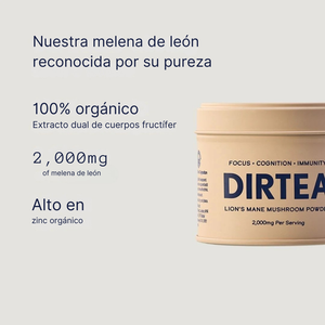 Beneficios del hongo Melena de León: enfoque, cognición e inmunidad diaria
