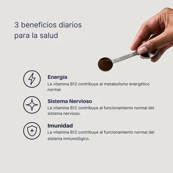 Beneficios del extracto de chaga en polvo para energía, sistema nervioso e inmunidad