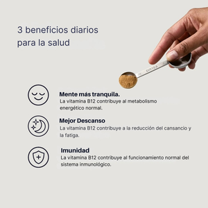 Beneficios del reishi en polvo DIRTEA: mente más tranquila, mejor descanso e inmunidad