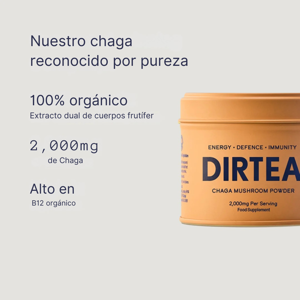 Extracto de chaga orgánico en polvo DIRTEA, alto en vitamina B12 y reconocido por su pureza