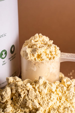 Proteína Probiótica Natural