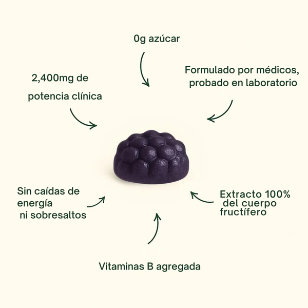 Ingredientes de las gomitas para concentración con melena de león y vitaminas B