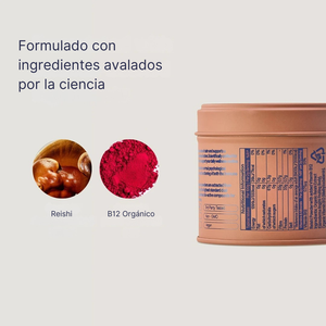 Ingredientes del polvo de reishi DIRTEA con reishi y vitamina B12 orgánica