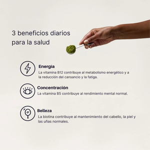 Ingredientes respaldados por la ciencia en matcha funcional: hongos, adaptógenos y vitaminas. Gráfico con beneficios del matcha funcional: energía, concentración y belleza, junto a una mano sosteniendo matcha en polvo