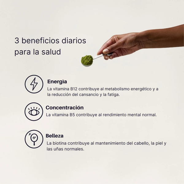 Ingredientes respaldados por la ciencia en matcha funcional: hongos, adaptógenos y vitaminas. Gráfico con beneficios del matcha funcional: energía, concentración y belleza, junto a una mano sosteniendo matcha en polvo