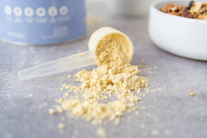 Proteína Probiótica Vainilla