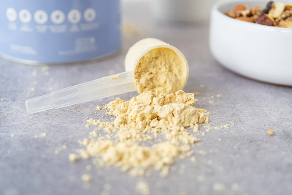 Proteína Probiótica Vainilla