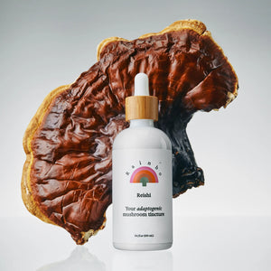 Reishi Tintura Adaptógena de Hongo Funcional