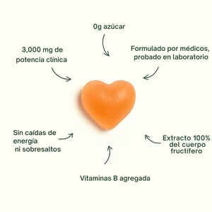 0g azucar, 3,000 mg potencia clinica, formulado por medicos, probado en laboratorio, sin caidas de energia ni sobresaltos, vitaminas B agregada, extracto 100% del cuerpo fructifero 