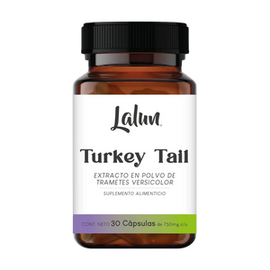 Turkey Tail es ideal para quienes desean acompañar su salud digestiva e inmunológica de manera integral. Una fórmula ancestral que actúa en armonía con tu cuerpo, como parte de un estilo de vida consciente y equilibrado.

